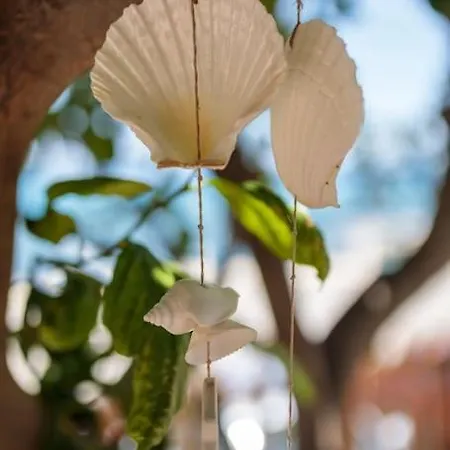 Ferienhaus Spot On The Sea *
